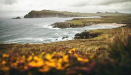Dingle Peninsula