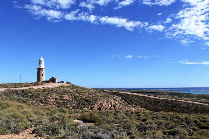 The bounty of the Ningaloo Reef provides a stunning mirror to the sparse, arid land of the Cape Range National Park. On land dingos prowl the empty roadways, searching for remains of kangaroo road kill, but underneath the waves lies a cornucopia of life just waiting to be seen.