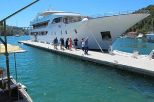 MV-Futura