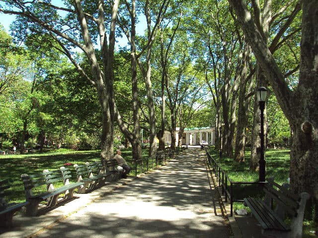 A nice stroll through the greenery at McGolrick Park.