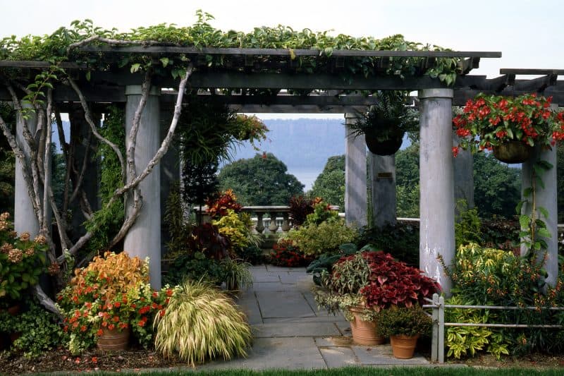 Luscious greenery wrapped around a structure at Wave Hill public garden.