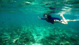 Ningaloo-Reef
