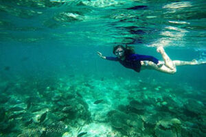 Ningaloo-Reef