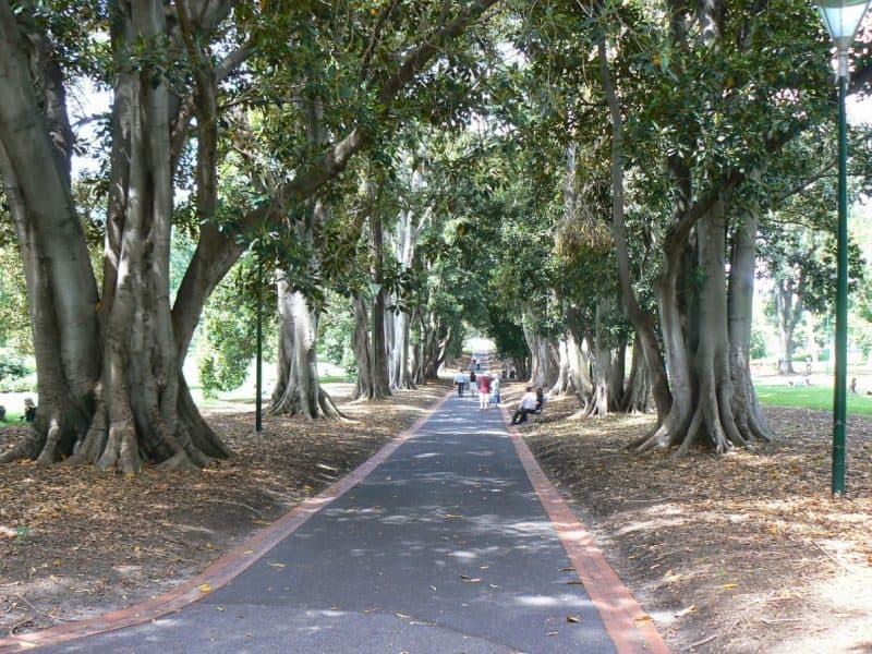 A leafy park in Melbourne is a perfect place to enjoy another perfect Australian day. 