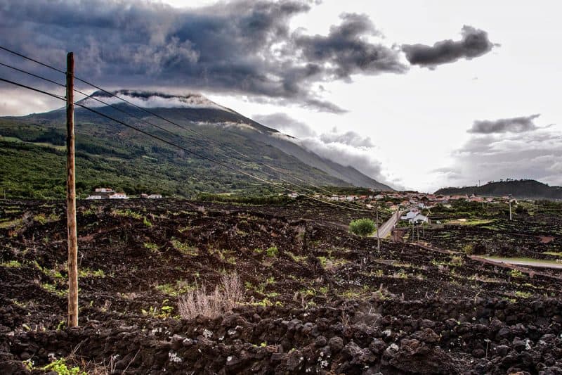 The corrals on the western side of Pico, low volcanic rock fences built to shelter grape vines.