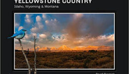 yellowstone-country