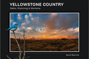 yellowstone-country