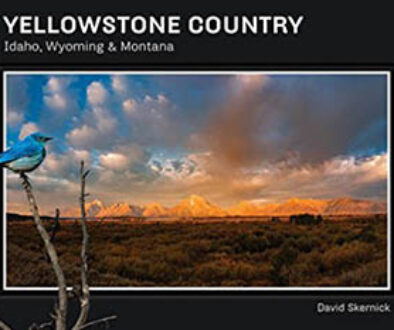 yellowstone-country