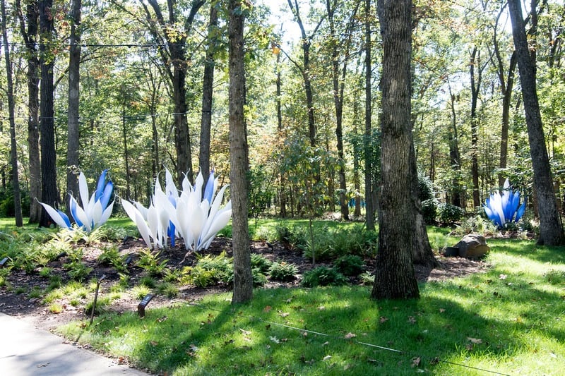 Blending art and nature on one of the many trails. Belugas, Dale Chihuly, 2017.