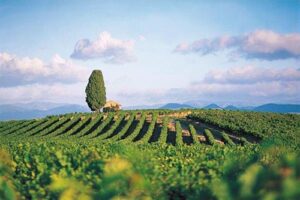 Languedoc