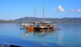 Paraw