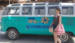 VWBus