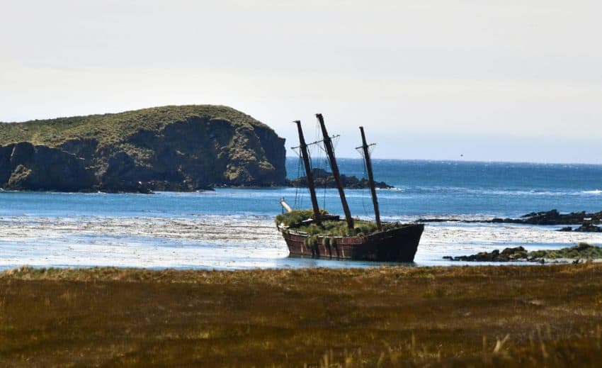 wreck at Sorling Beach