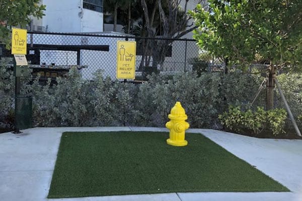 Florida Says: All Aboard Brightline! 12 Pet Relief Station