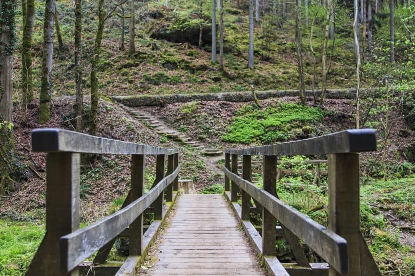 One of the numerous bridges encountered along Route #1.