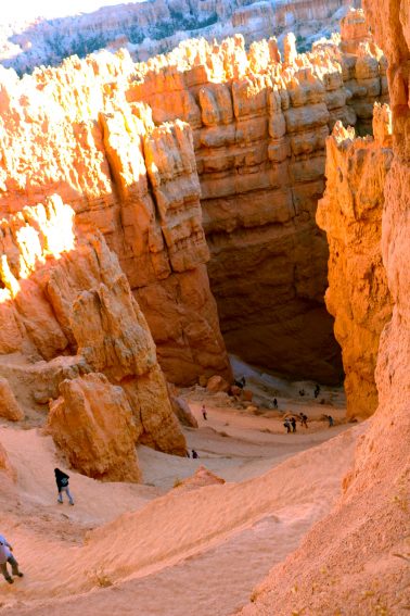 Utah: Hiking Zion and Bryce Canyons, and the Narrows 11 Gazing through to Bryce Canyon.