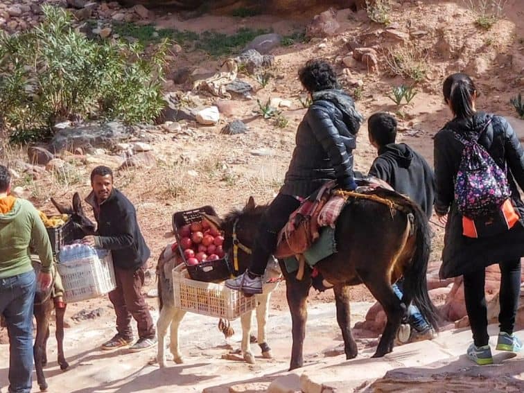 Visitors are advised to lean back on the donkeys during the steep trip down at Petra.