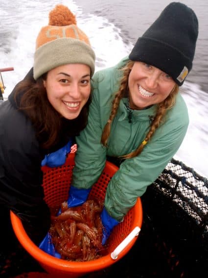 Harvesting crawfish. Susan Shain, Seasonal Jobs author.