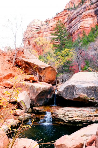 Utah: Hiking Zion and Bryce Canyons, and the Narrows 7 Babbling creek on the trail to the Subway.