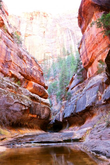 Utah: Hiking Zion and Bryce Canyons, and the Narrows 8 Scenic switch backs emerging from Bryce Canyon