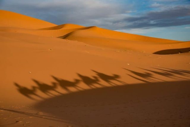 Erg Chebbi is a series of sizable dunes that make up a portion of the Sahara Desert in Morocco. It's a popular destination for tourists who want to experience an overnight at a desert camp, reachable by a camel ride.