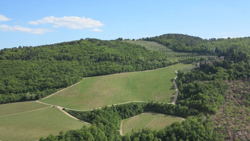 Vineyard View in Tuscany | GoNOMAD Travel