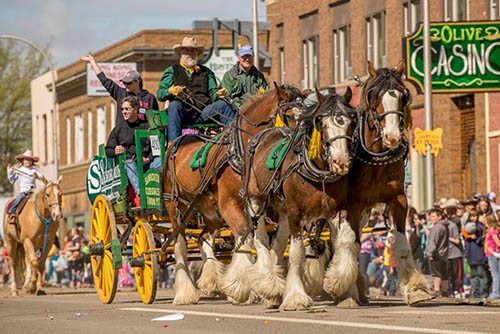Montana's Bucking Horse Sale in Miles City 6 Saturday morning kicks off with an epic Western parade that is definitely worth getting out of bed for. Donnie Sexton photos.