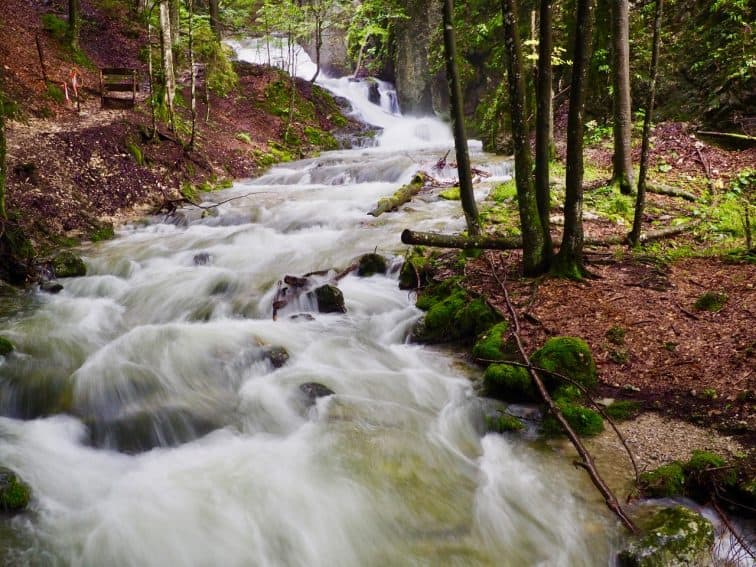 A rushing stream on the mountain. | GoNOMAD Travel