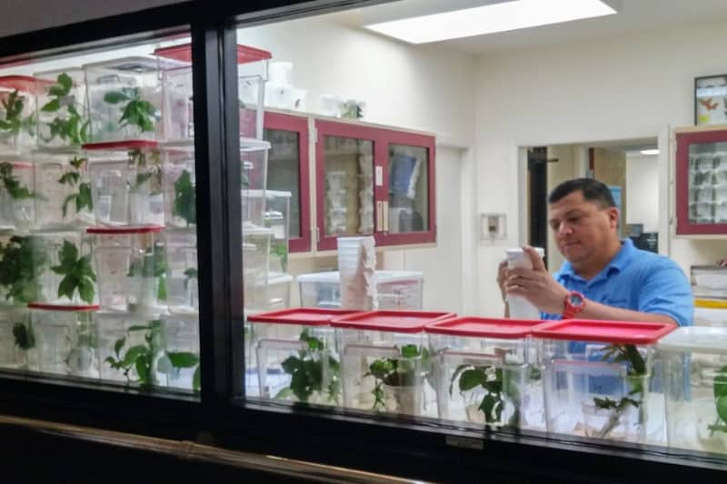 Florida’s Gold Coast: Blooming with Color 4 The botanical lab inside Butterfly World on Florida's Gold Coast is crucial to the mission. | GoNOMAD Travel