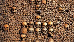 Bones from the Catacombes de Paris. Photo courtesy of Kara Thornton.