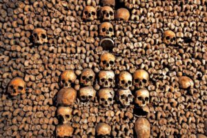Bones from the Catacombes de Paris. Photo courtesy of Kara Thornton.
