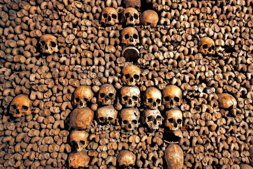 Bones from the Catacombes de Paris. Photo courtesy of Kara Thornton.