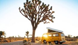 vanlife10tr1