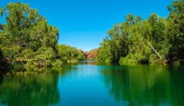 Green Reflections at Lawn Hill Gorge - Helen Downs