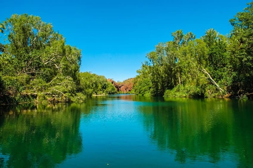 Green Reflections at Lawn Hill Gorge - Helen Downs