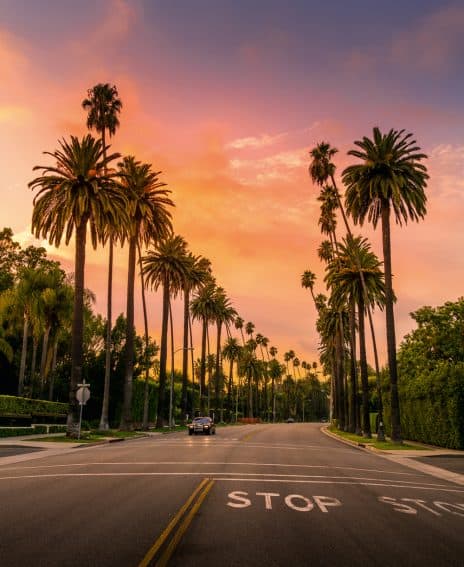 Los Angeles: The Coffee Table Picture Book 5 love Beverly Hills because there are no cars on the side of the streets and the palm trees give you an incredible leading line.