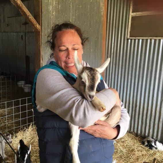 Hugging and holding lambs just one or two days old is a treat at Harley Farms in Pescadero, California. | GoNOMAD Travel