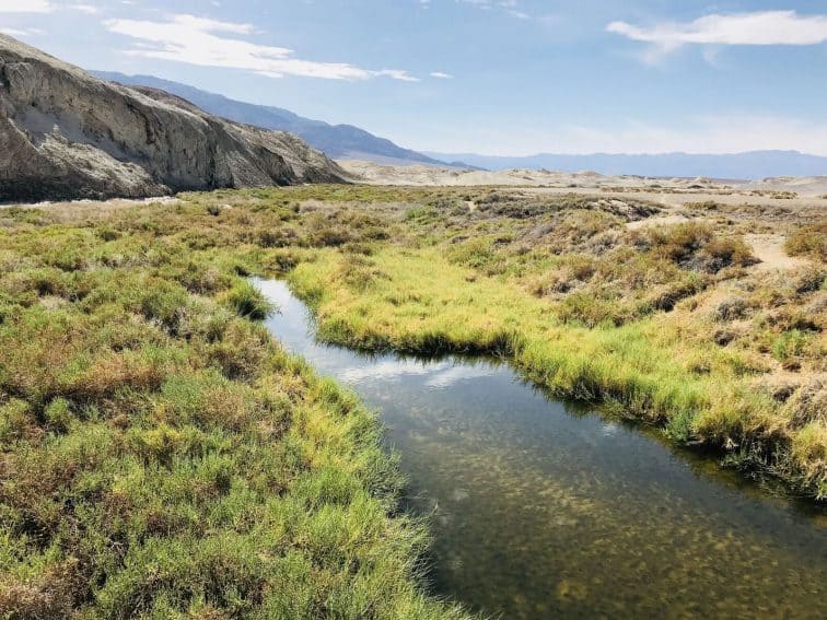 Death Valley Spirit Quest in California 5 Hiking the boardwalks in Furnace Creek where pupfish are found swimming in the flowing river.