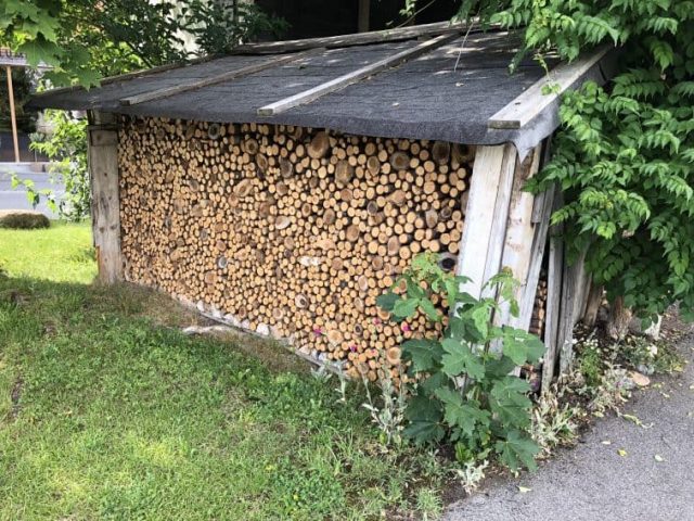 IMG_0143 Montafon,mountain biking