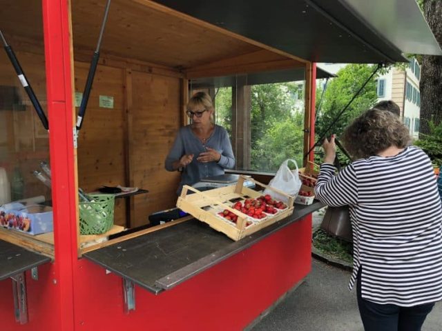 Berries Strawberries for sale in the village of Schrum, picked that morning in a local patch.
