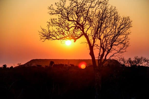 A dramatic sunset in Madagascar Mantadia National Park