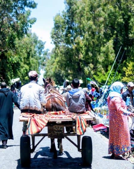 Donkey carts are found all over Asilah. 