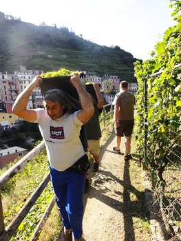 Taking Manarola's "Vineyard Walk"
