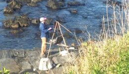 plein air panter