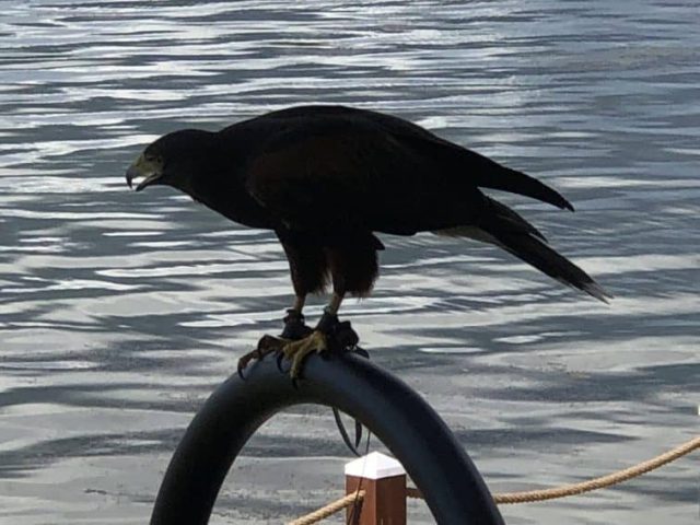 IMG_2704 western new york,the southern tier,comedy center