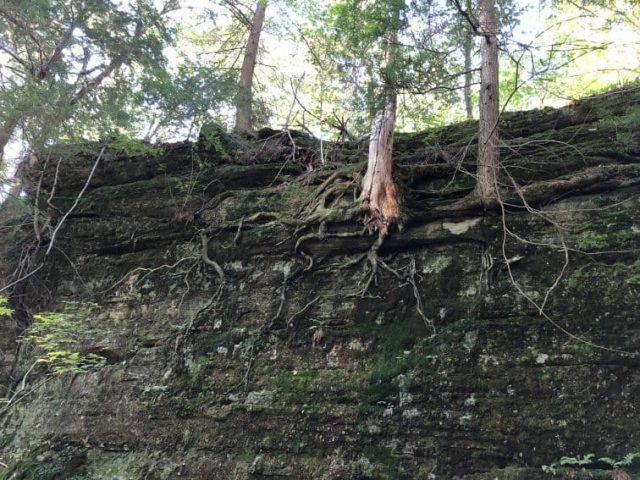 IMG_2732 western new york,the southern tier,comedy center