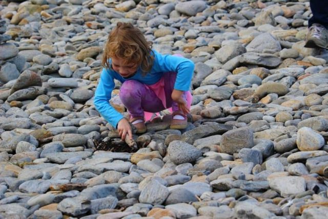 Fort Williams State Park - photo by Rachael McGrath