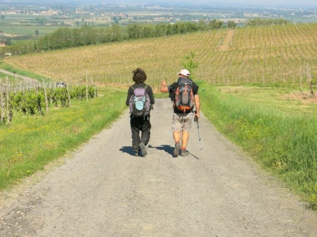 hikers in vines Via Postumia