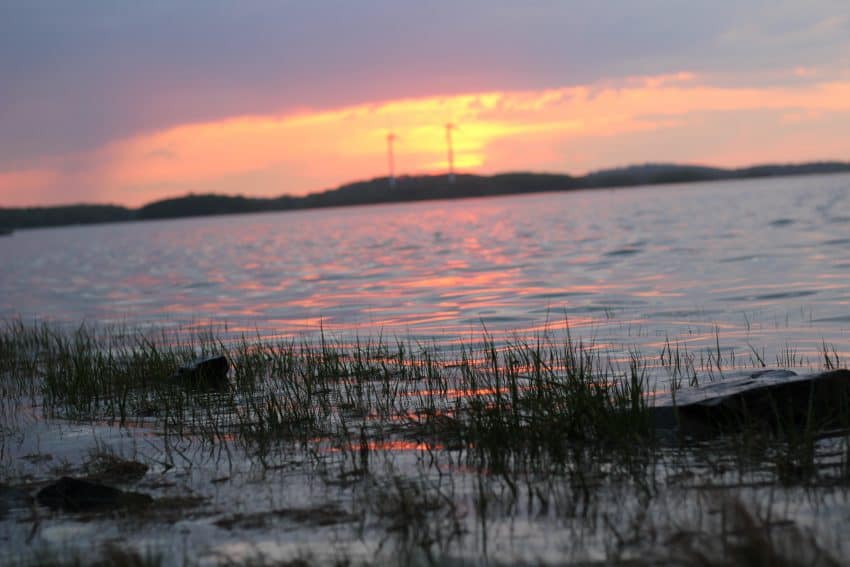 View of two windmill turbines at sunset. 