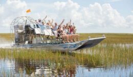 SawgrassRecreationParkEvergladesAdventure-1-Copy